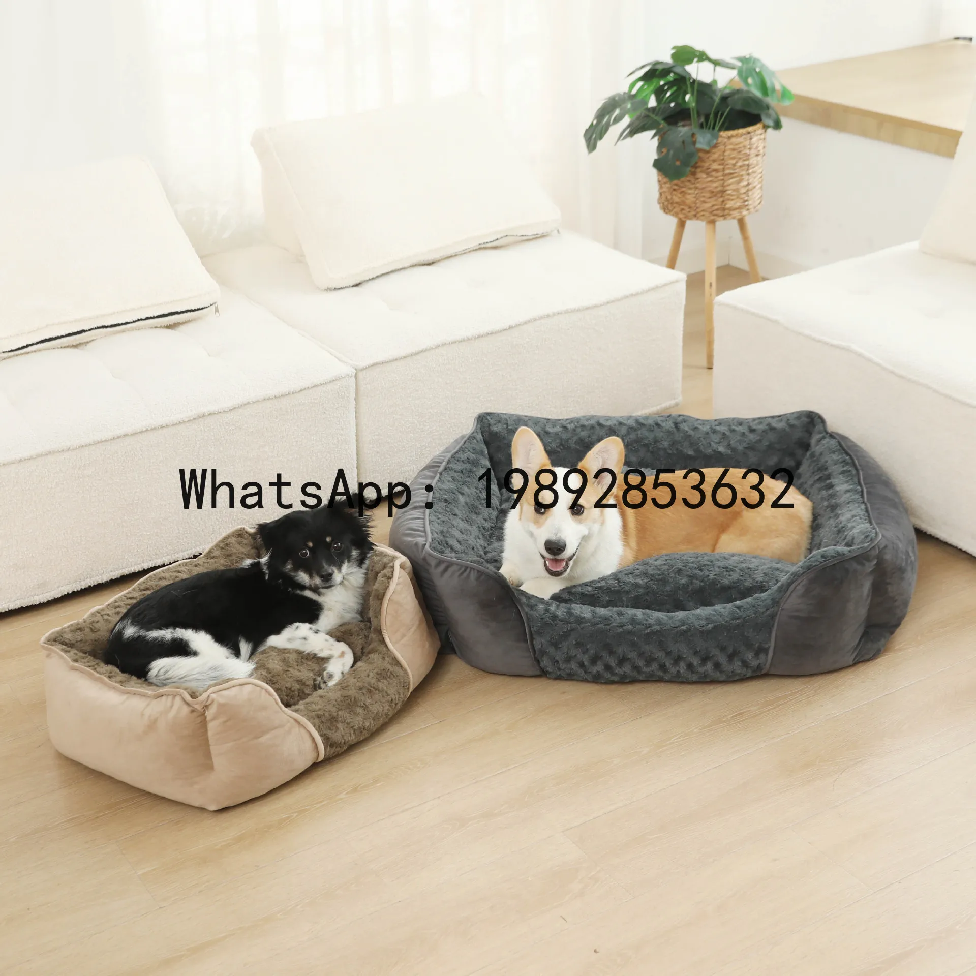 Pet X Supplies & Tack - Rumah kucing X, kandang anjing semi-tertutup,