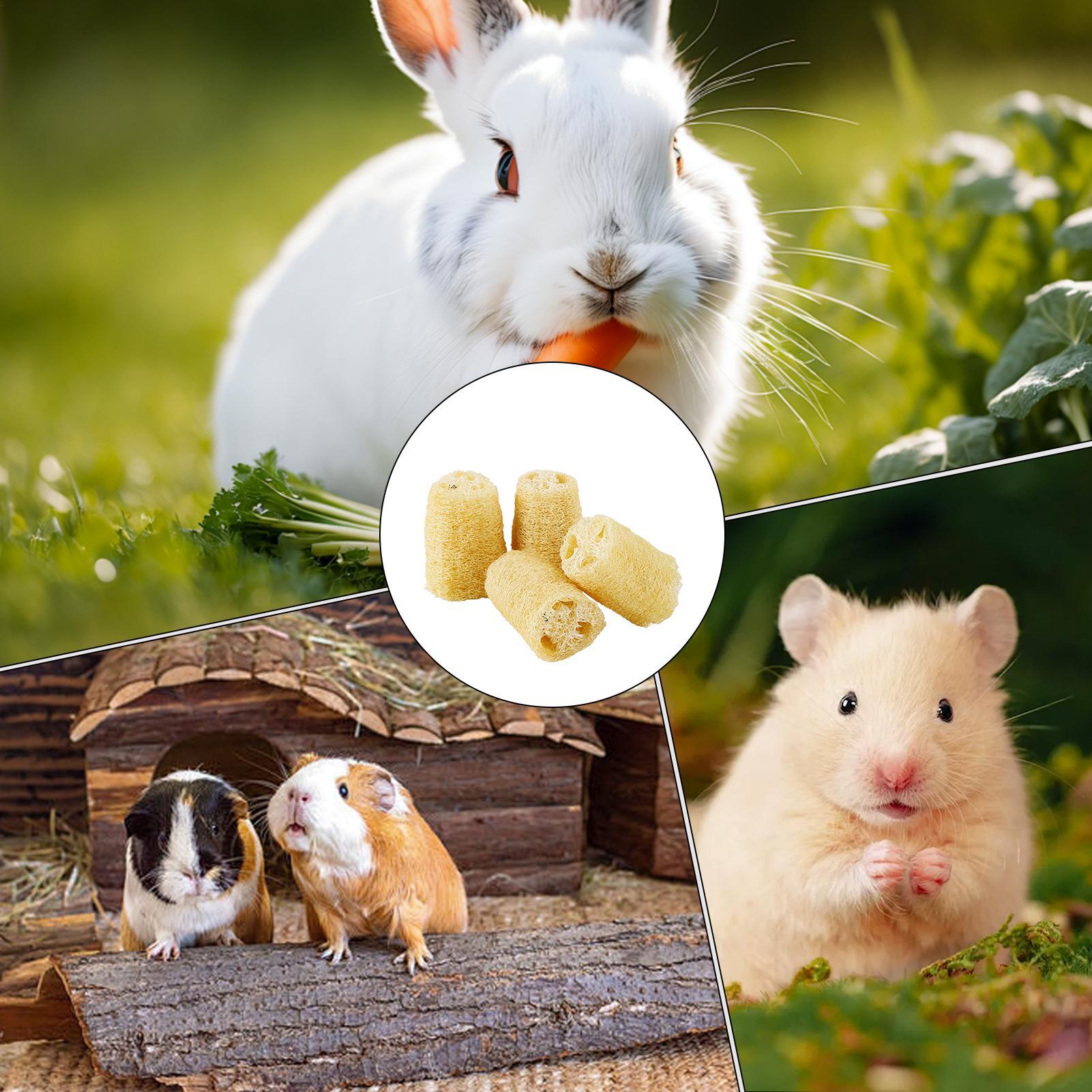 Pet Supplies Pet Shop - Mainan Kunyah Untuk Kelinci 4 Buah
