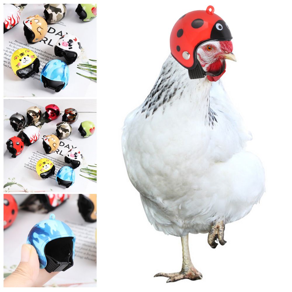 Pet X Supplies & Tack - Perlengkapan Hewan Peliharaan Lucu ABS, Pelindung