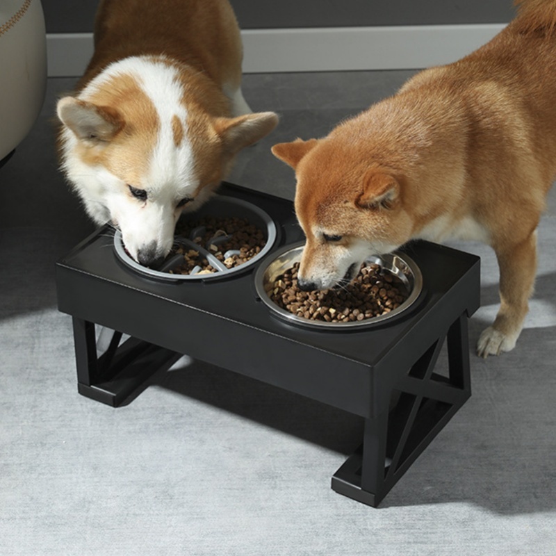 Mangkuk Makan Anjing Slow Feed - Slow Feeder Dog Bowl ulasan dan harga