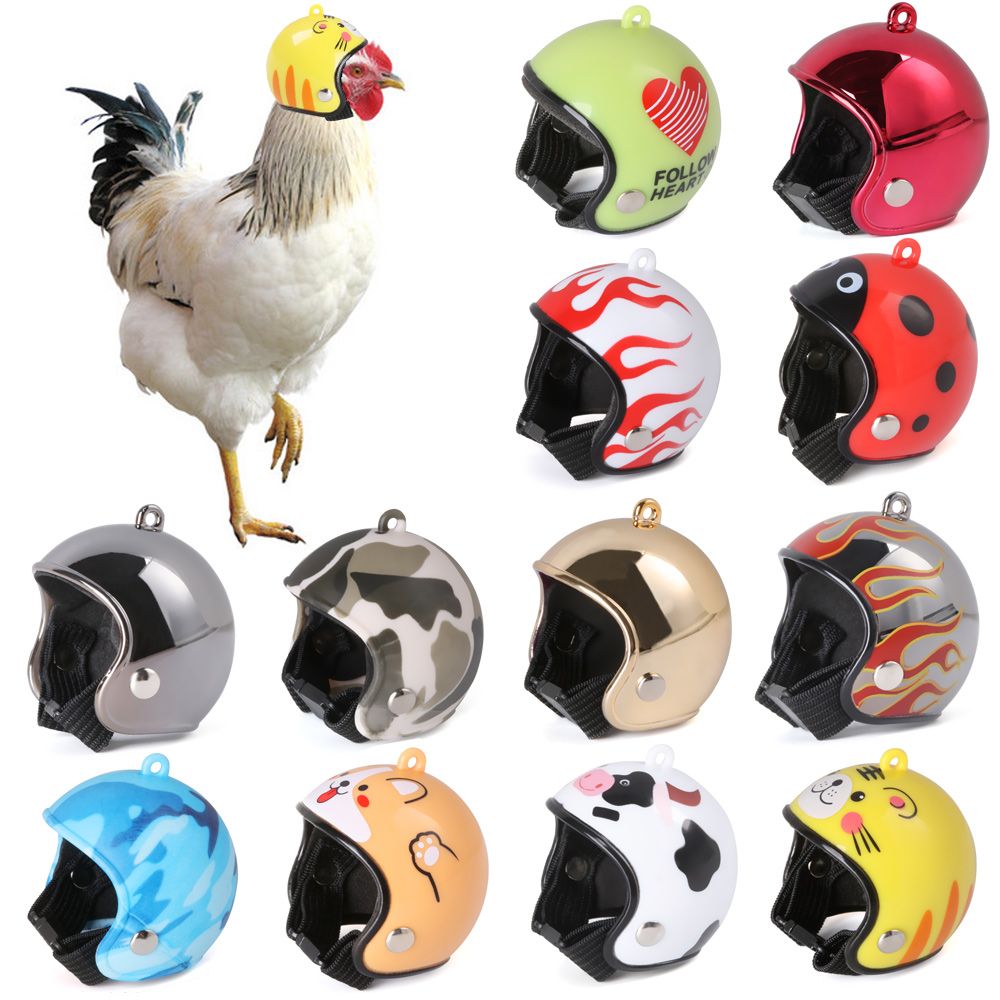 Perlengkapan Hewan Peliharaan  - Pet X Supplies & Tack ulasan dan harga