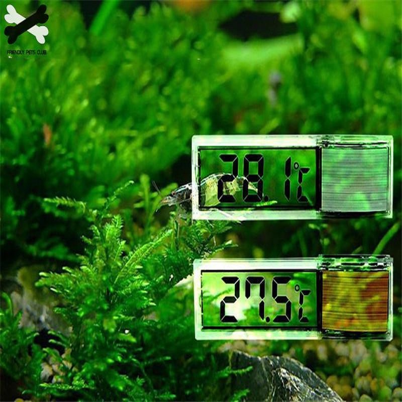 Termometer akuarium elektronik - Pet Supplies Pet Shop ulasan dan harga