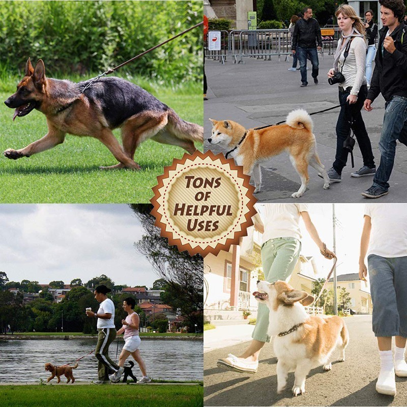 Benepaw High-end Kulit Sapi Ku - Pet Supplies Pet Shop ulasan dan harga