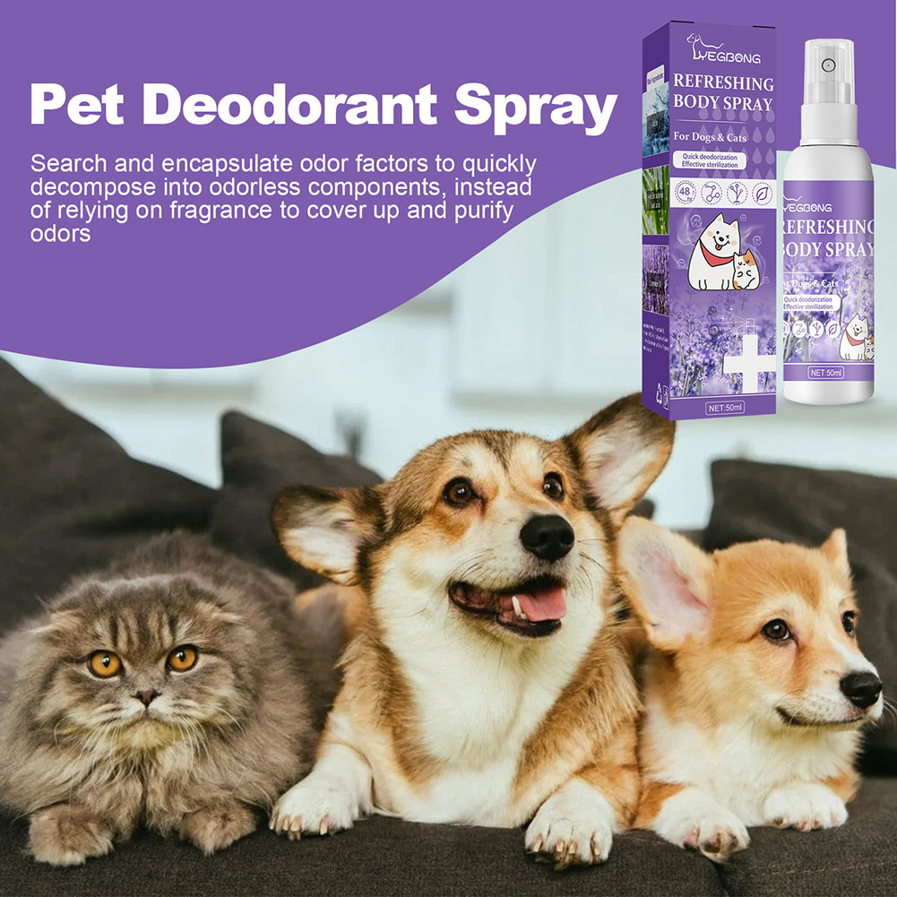 Semprotan Penghilang Bau Anjin - Pet Supplies In Store ulasan dan harga